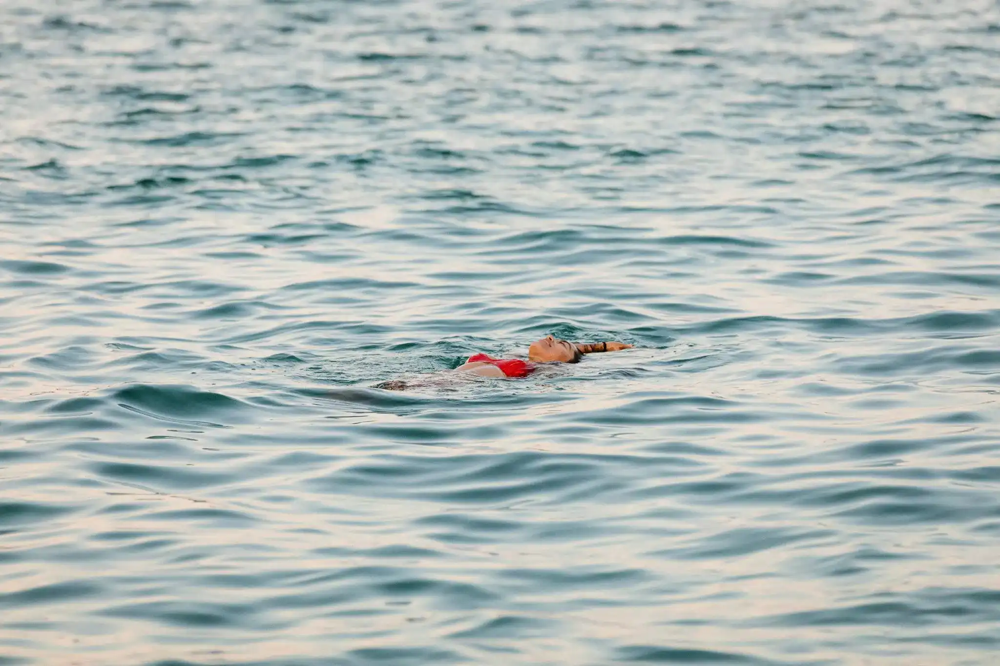 Swimming in the Galapagos Islands